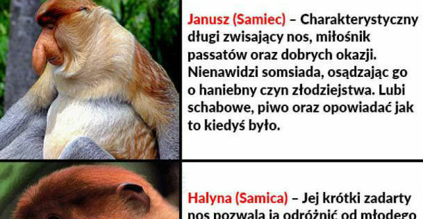 Nosaczowa rodzinka