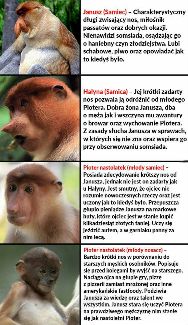 Nosaczowa rodzinka