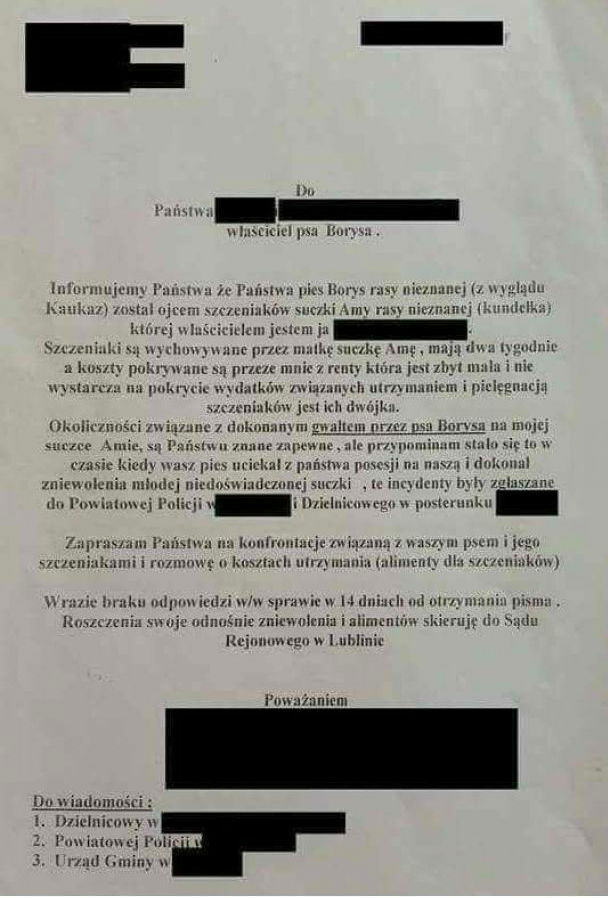 Zły pies