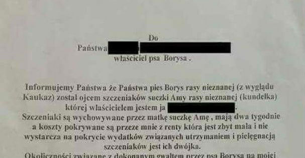 Zły pies