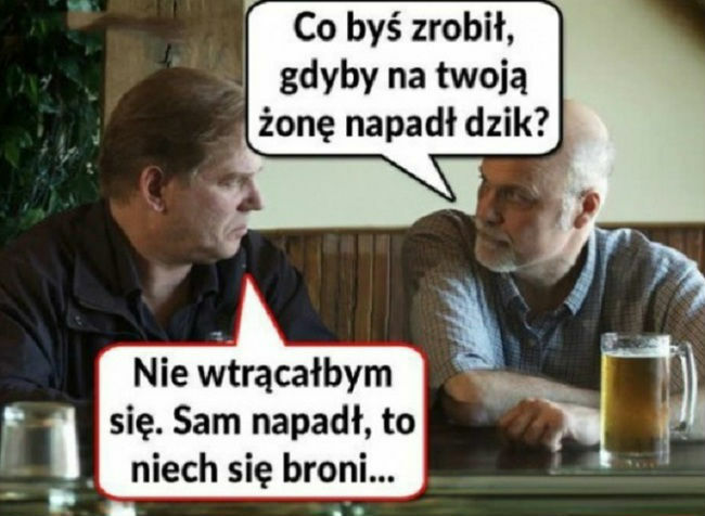 Sam się prosił 