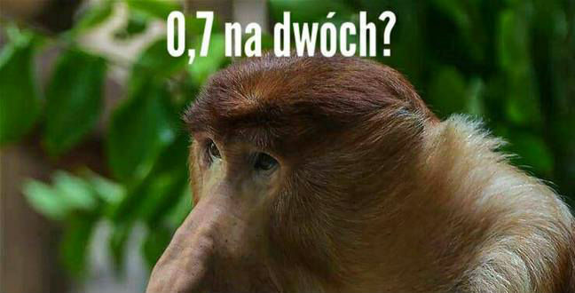 To chyba jakieś kpiny 