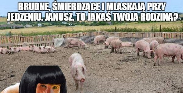 Król wysublimowanego żartu 