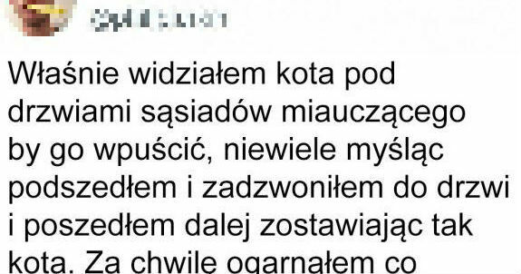 Kot czarodziej 