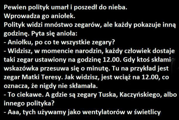 Polityk w niebie 