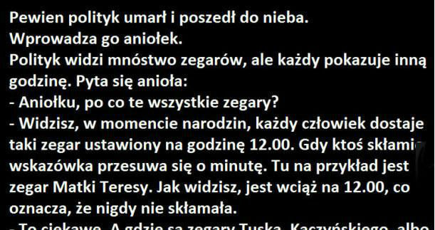 Polityk w niebie 