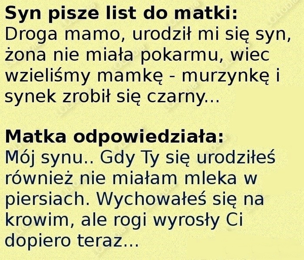 List do matki 