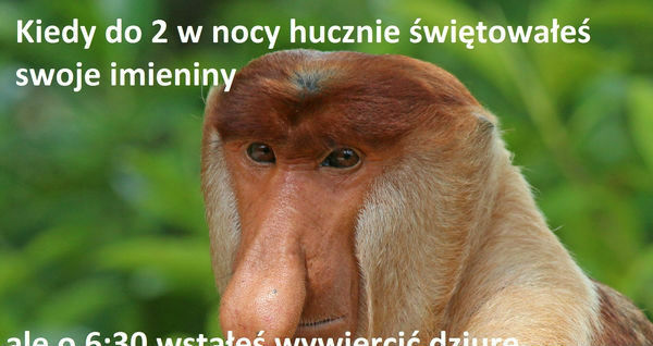Najlepszy typ sąsiada 
