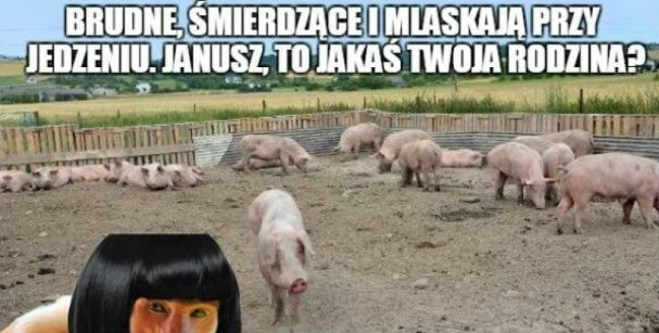 Janusz mistrz riposty