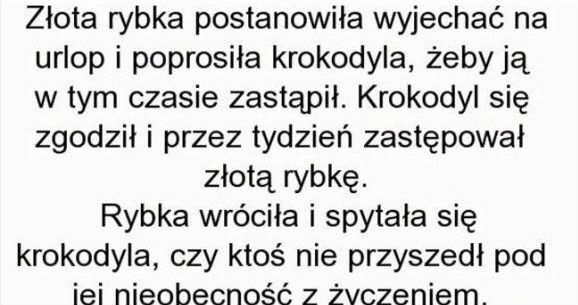 Złota rybka