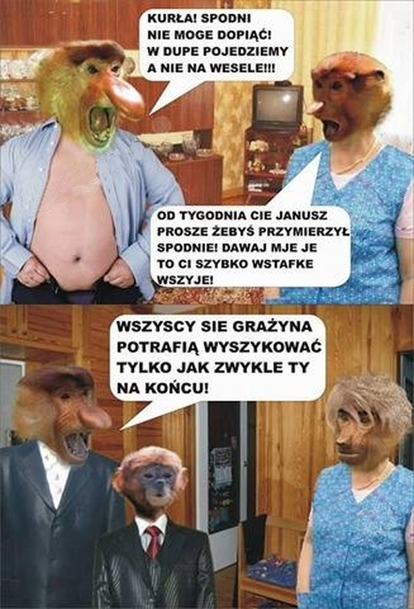 Janusz z Grażynką idą na wesele 