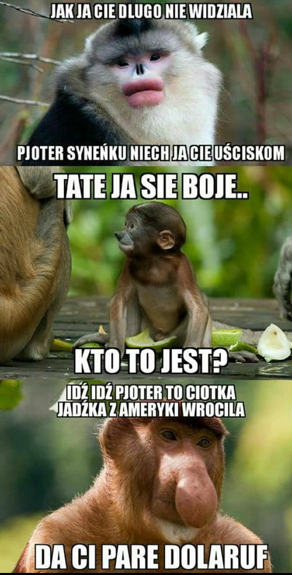 Ciotka z Ameryki 