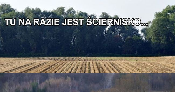 Od ścierniska do...