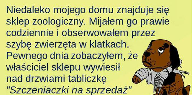Historia, która daje do myślenia 