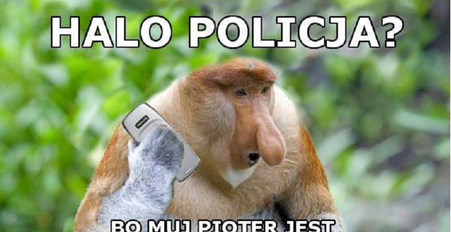 Halo policja? 