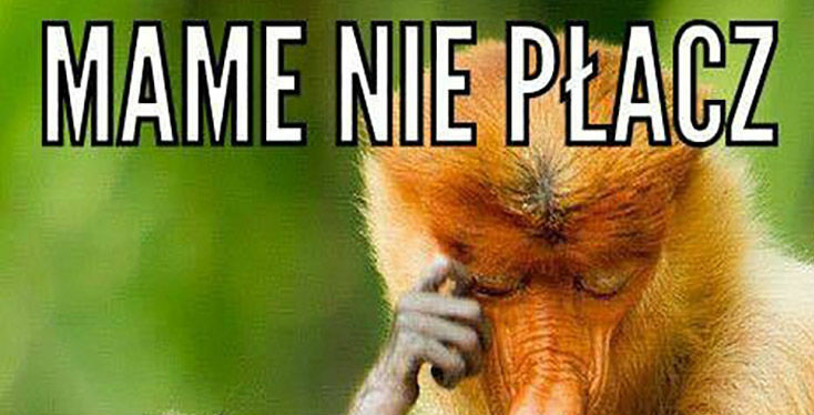 Mame nie płacz 