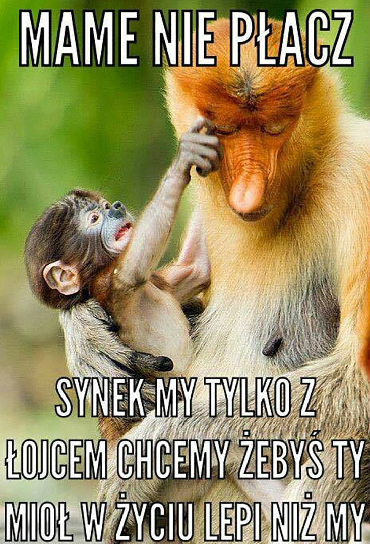 Mame nie płacz 