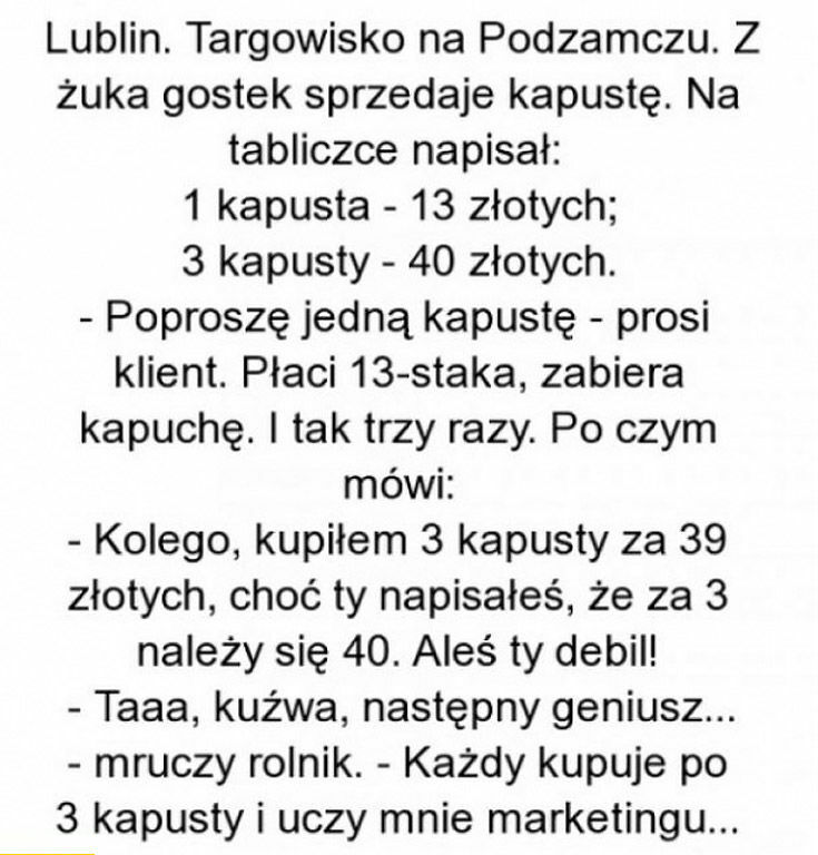 Mistrz marketingu 