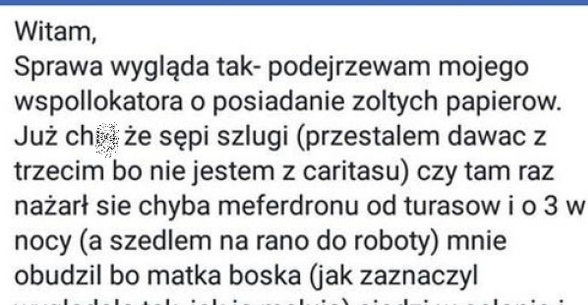 Polacy w Holandii 
