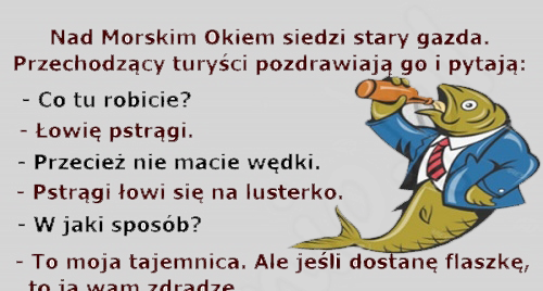 Tajemnica gazdy 