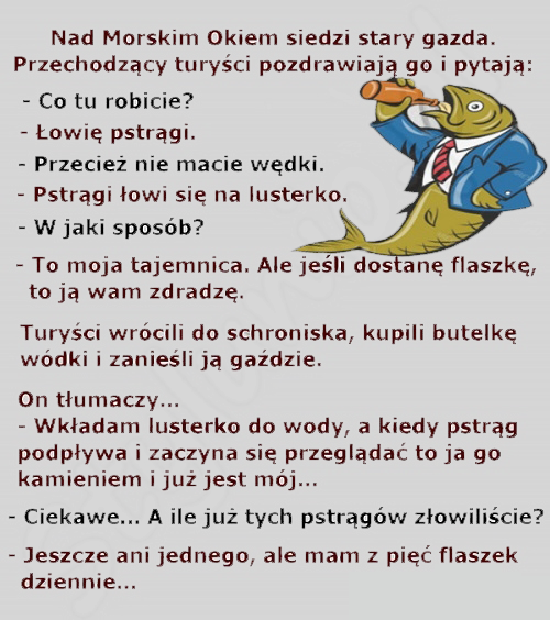 Tajemnica gazdy 