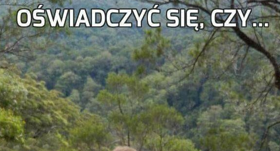 Trudny wybór