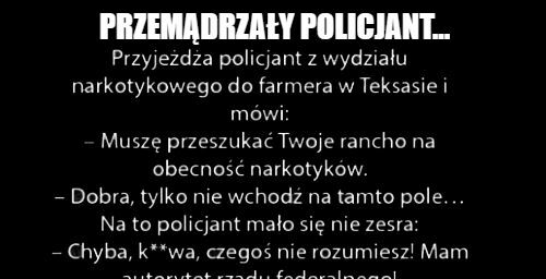Przemądrzały policjant 