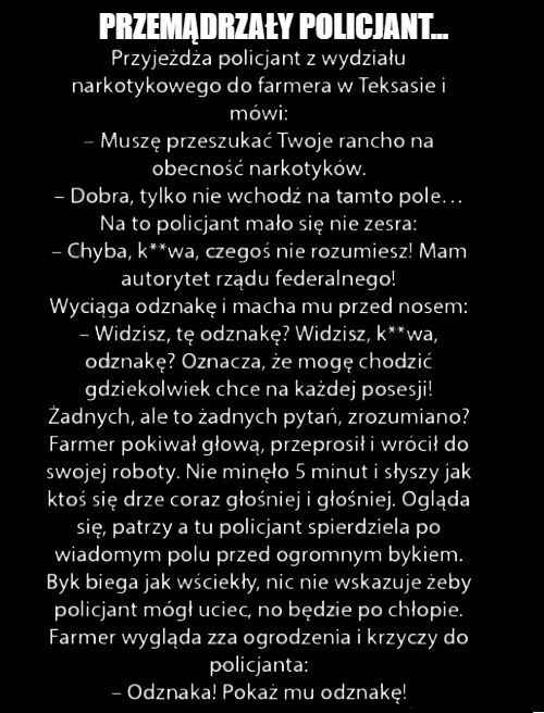 Przemądrzały policjant 