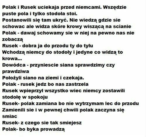 Polak i Rusek w przebraniu krowy 