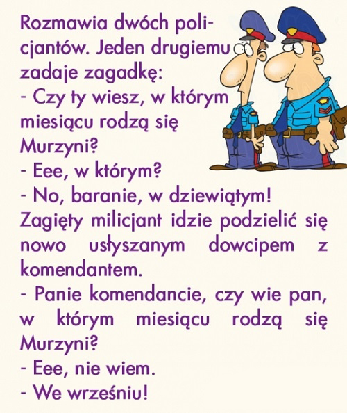 Zagadka na dziś 