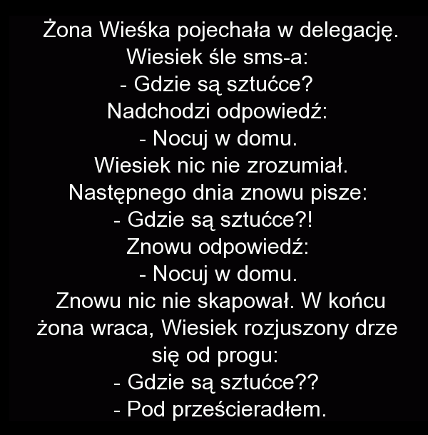 Żona w delegacji 