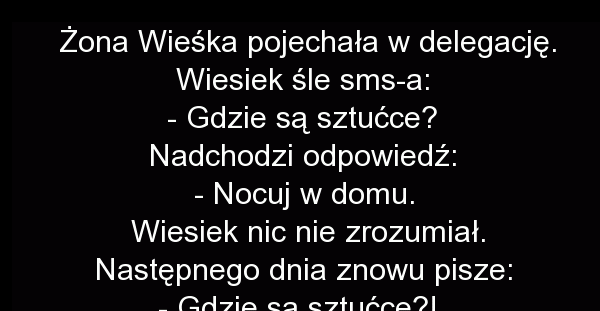 Żona w delegacji 