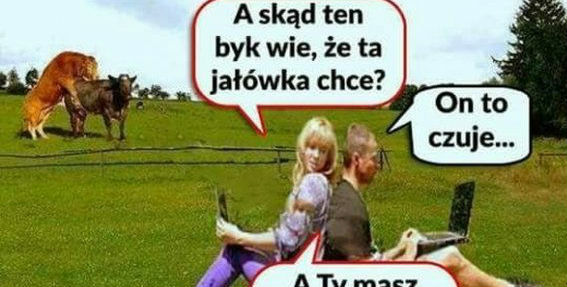 Ochota na małe co nieco 