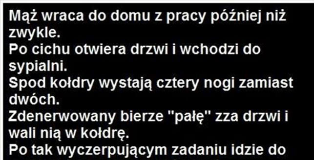 Nietypowe przywitanie 
