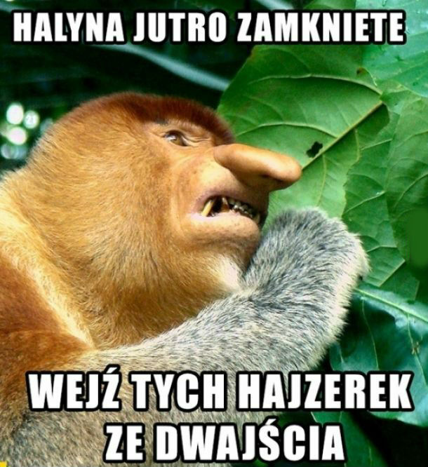Niedziela bez handlu