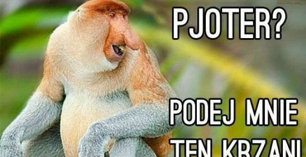 Ale parzy!