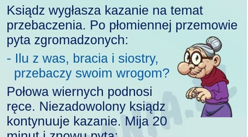 Genialna babka 