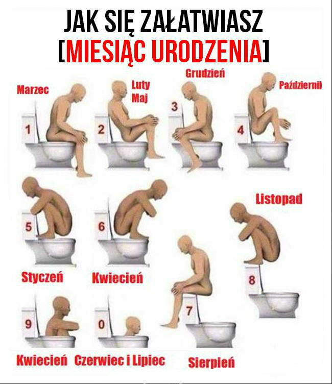 Jak się załatwiasz? 