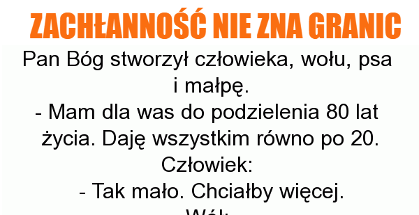 Zachłanny człowiek 