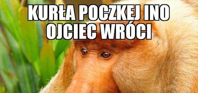 Poczekaj aż ojciec wróci!