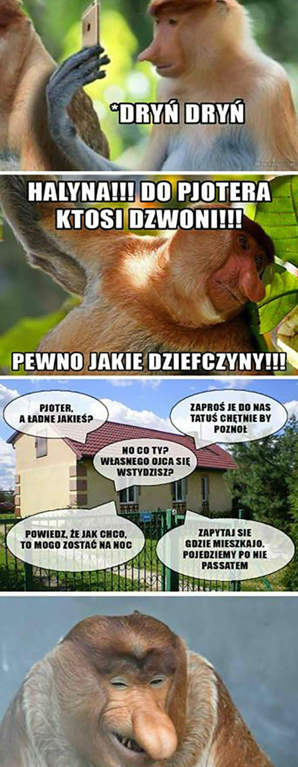 Kiedy do Pjotera dzwonią pannice...