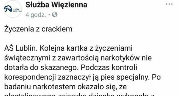 Pomysłowa rodzinka 
