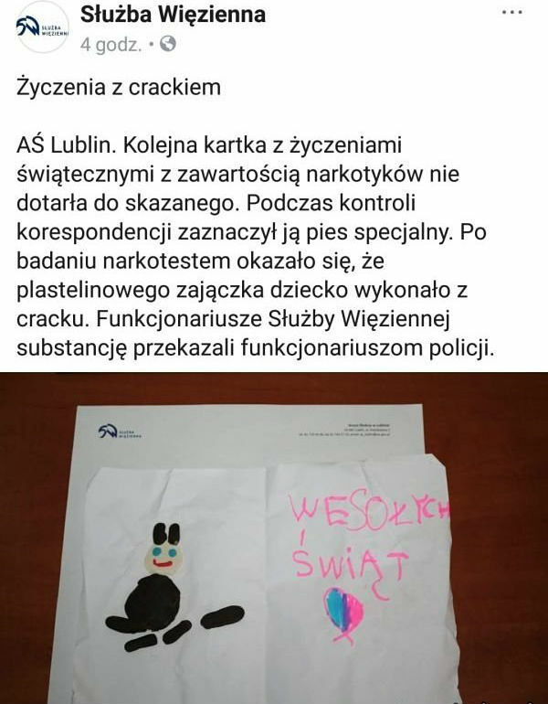 Pomysłowa rodzinka 