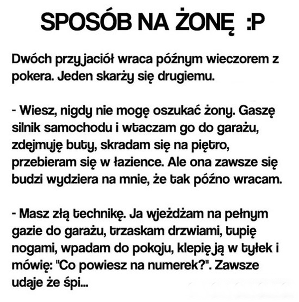 Sposób na żonę 