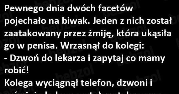 Na kumpla można liczyć  
