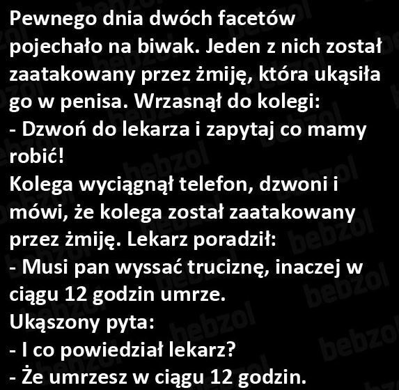Na kumpla można liczyć  