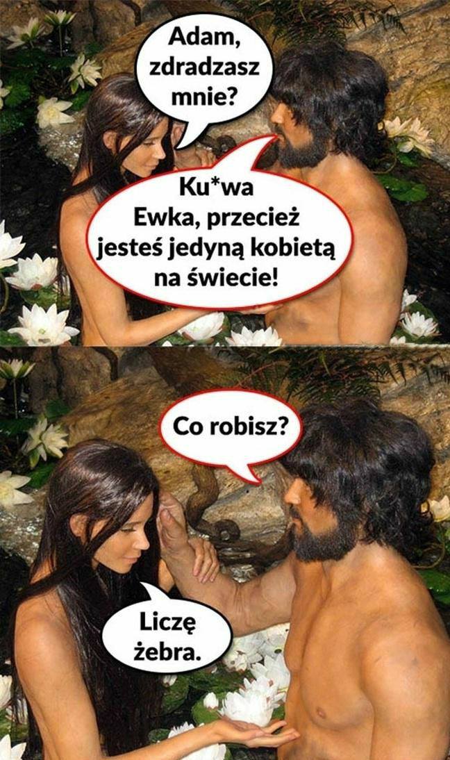 Przezorny zawsze ubezpieczony 