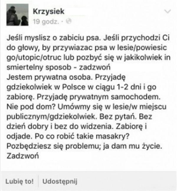 Szacunek dla tego pana 