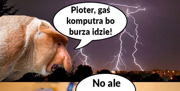 Zaczęło się 