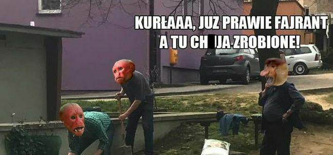 Szef nie krzyczy...